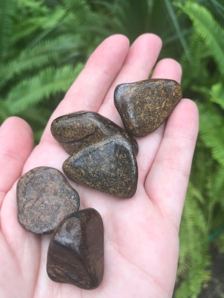Bronzite Tumbled Stone - Morganna’s Treasures 