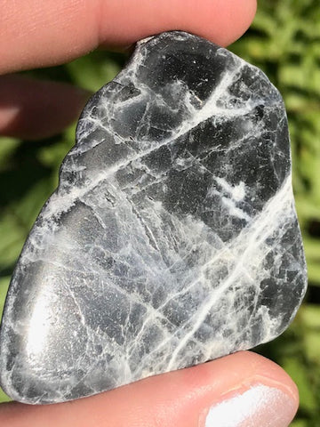 Sodalite Palm Stone from Brazil - Morganna’s Treasures 