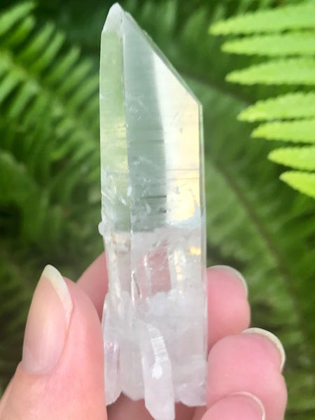 Clear Quartz Crystal Point - Morganna’s Treasures 