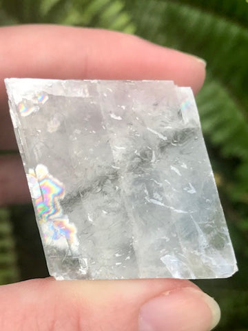 Optical Calcite - Viking Stone - Palm Stone - Morganna’s Treasures 