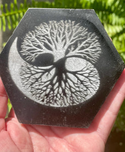 Black Onyx and Selenite Tree of Life Hexagon Charging Plate - Morganna’s Treasures 