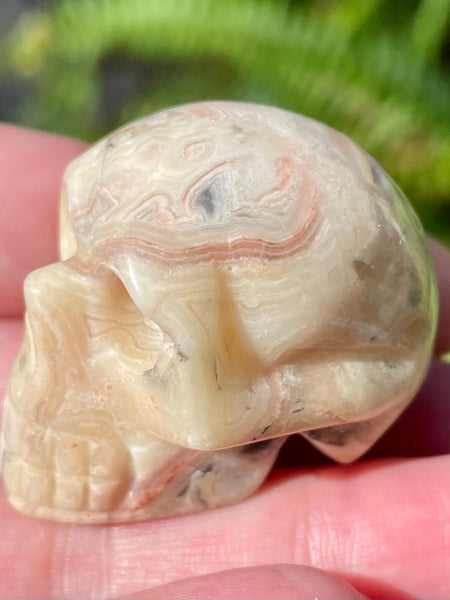 Carved Crazy Lace Agate Skull - Morganna’s Treasures 