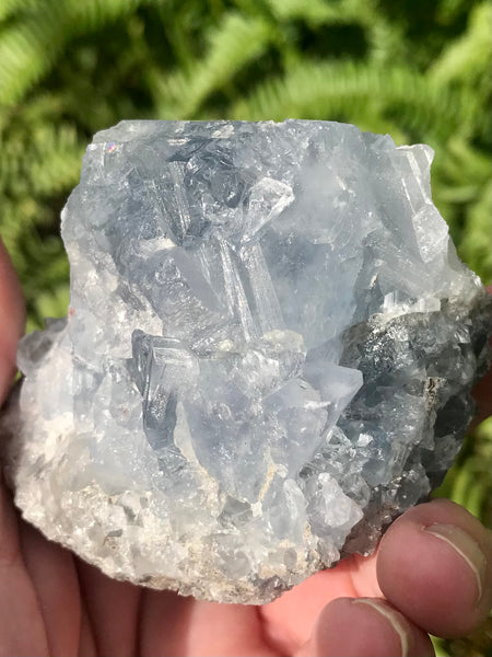 Large Celestite Palm Stone - Morganna’s Treasures 