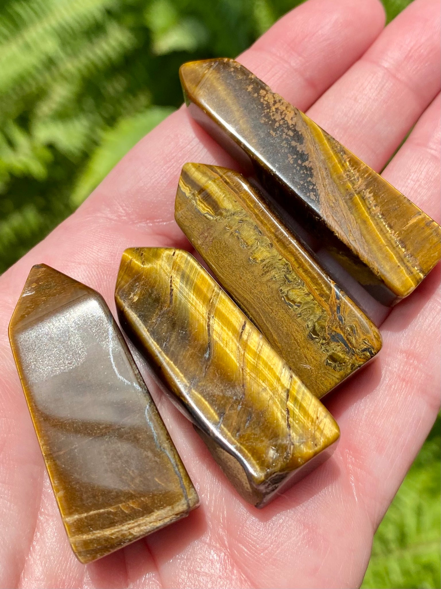 Tigers Eye Generator - Morganna’s Treasures 