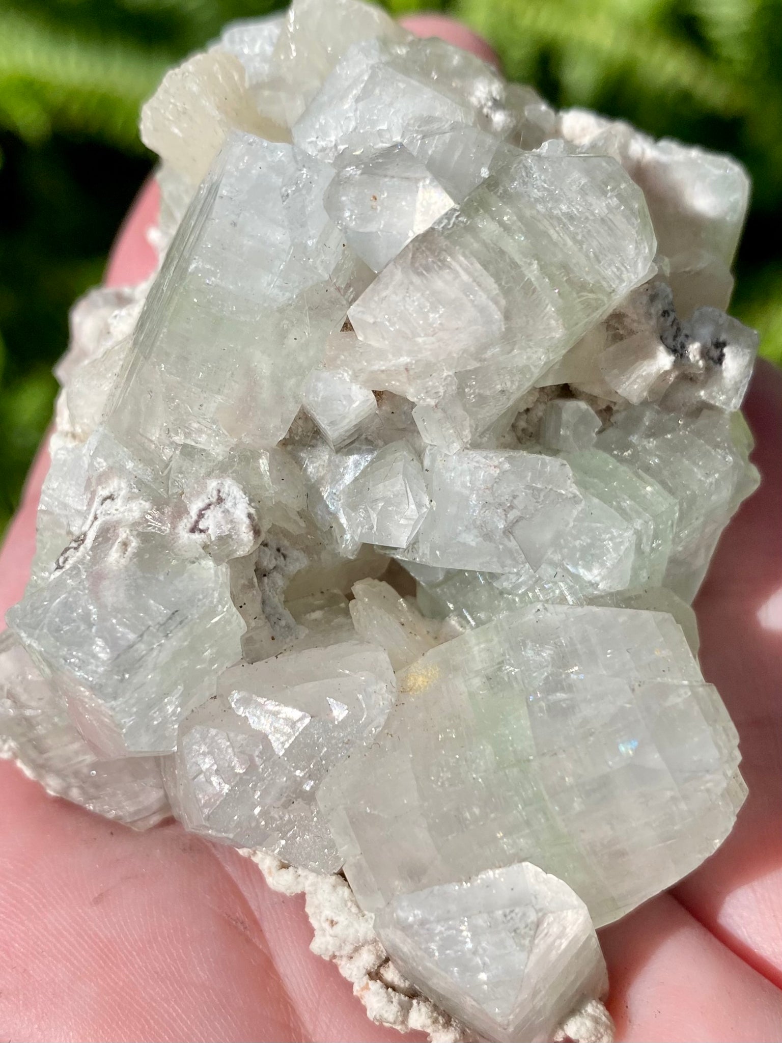 Apophyllite with Stilbite Crystal Cluster - Morganna’s Treasures 
