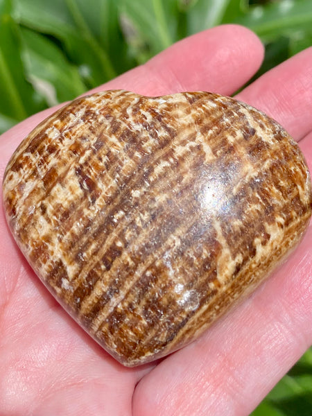 Aragonite Heart Palm Stone - Morganna’s Treasures 