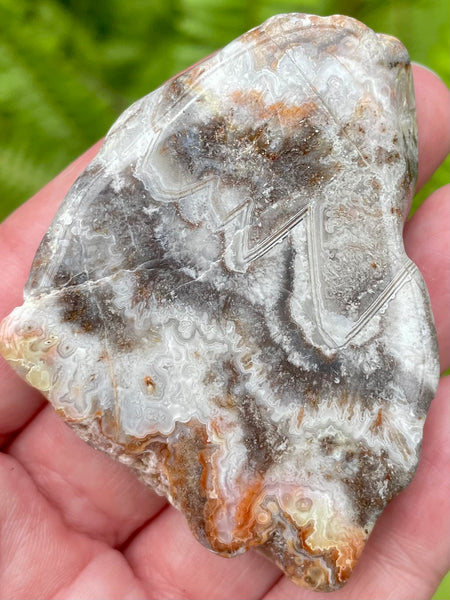 Crazy Lace Agate Palm Stone - Morganna’s Treasures 