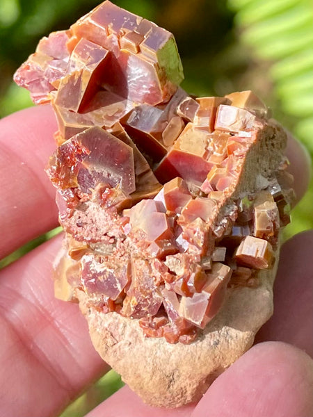 Vanadinite on Psilomelane Crystal Cluster - Morganna’s Treasures 