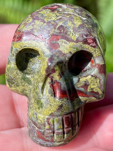 Carved Dragon Bloodstone Skull - Morganna’s Treasures 