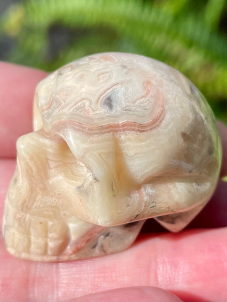 Carved Crazy Lace Agate Skull - Morganna’s Treasures 