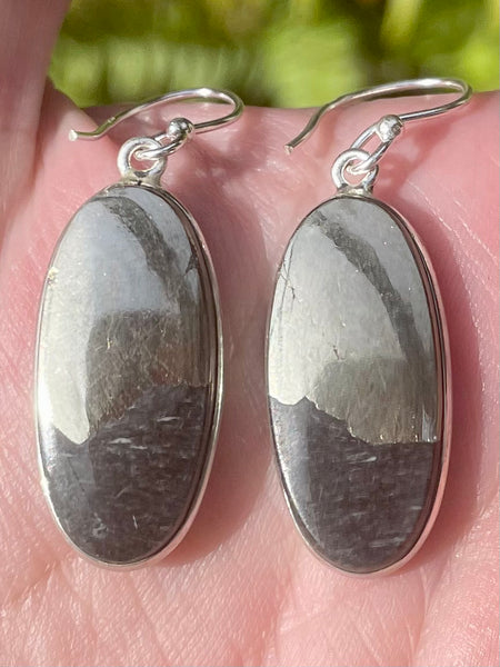 Pyrite in Magnetite (Healer's Gold) Earrings - Morganna’s Treasures 