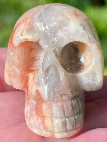 Carved Crazy Lace Agate Skull - Morganna’s Treasures 