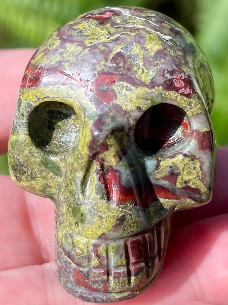 Carved Dragon Bloodstone Skull - Morganna’s Treasures 