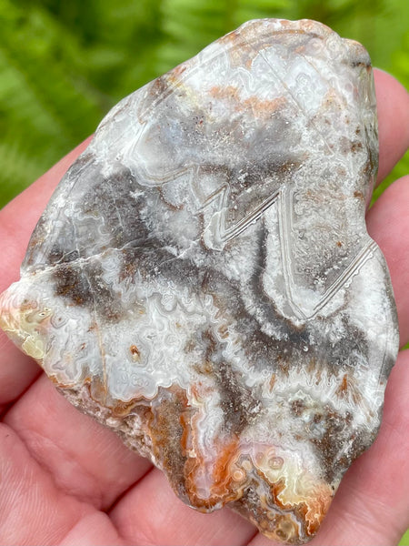 Crazy Lace Agate Palm Stone - Morganna’s Treasures 