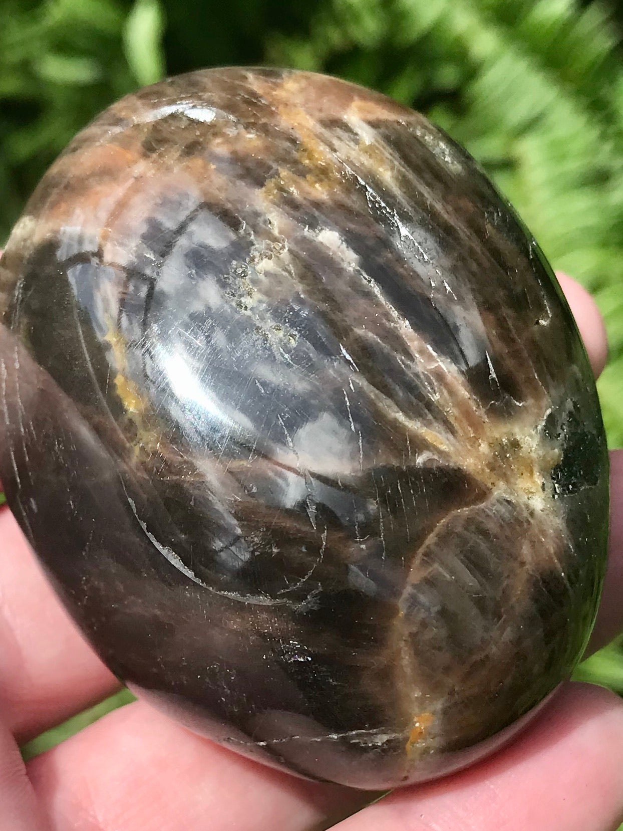 Large Larvikite (Black Moonstone) Palm Stone - Morganna’s Treasures 