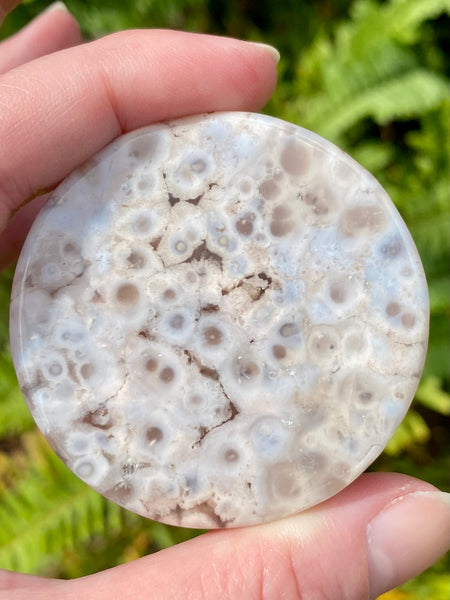 Small Flower Agate Charging Plate - Morganna’s Treasures 