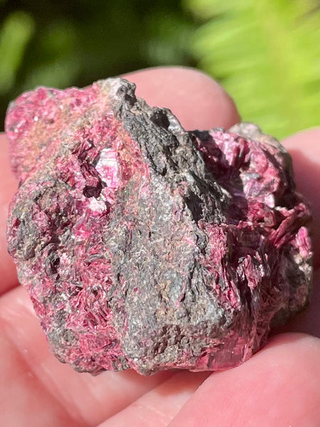 Erythrite Palm Stone from Morocco - Morganna’s Treasures 