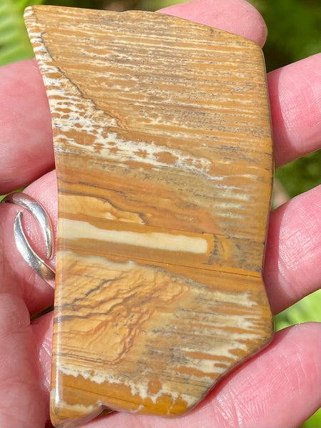 Picture Jasper Palm Stone - Morganna’s Treasures 