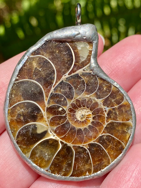 Ammonite Pendant - Morganna’s Treasures 