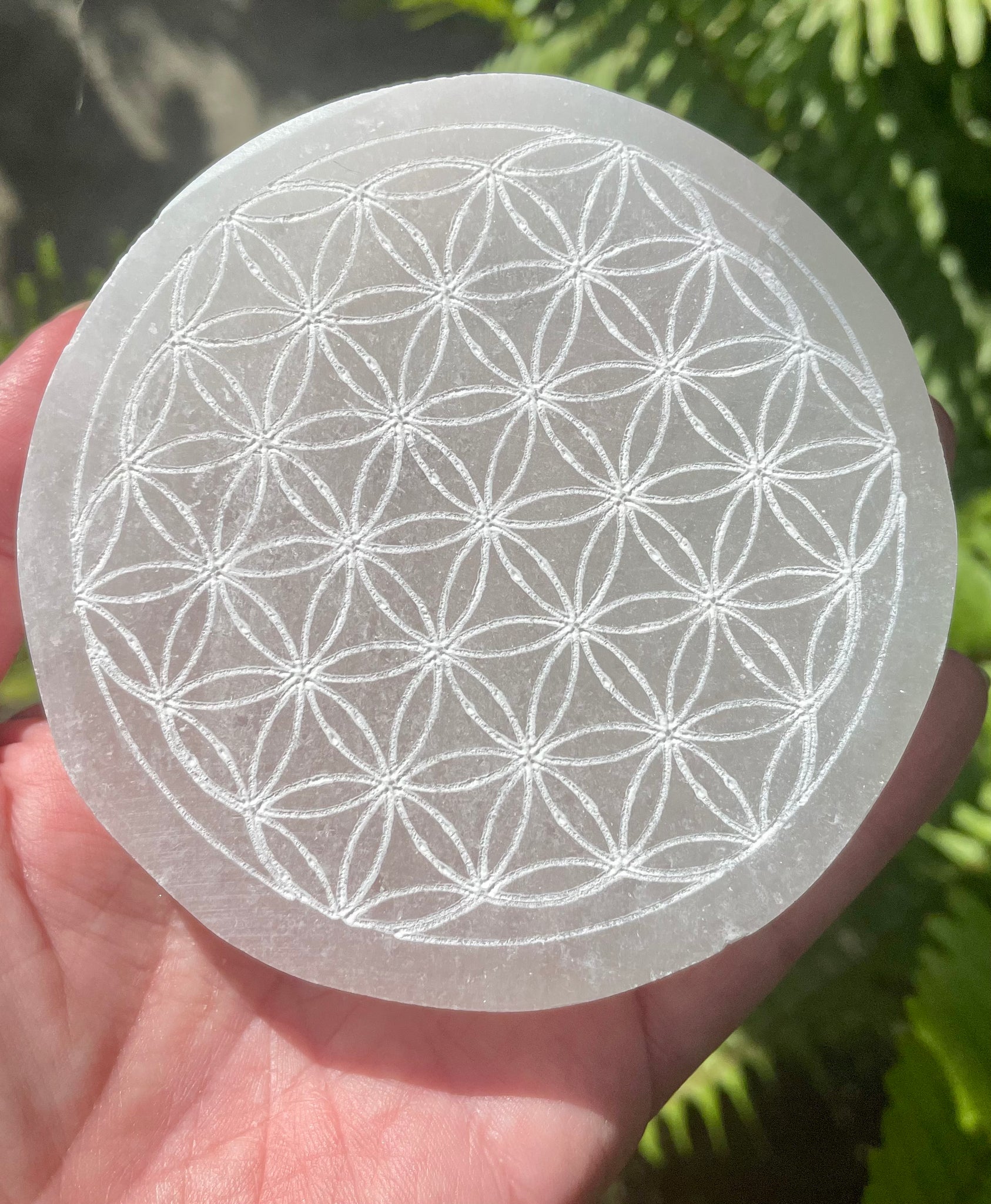 Selenite Flower of Life Charging Plate - Morganna’s Treasures 