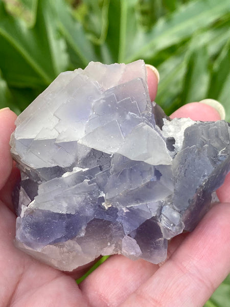 Rough Purple Fluorite Cluster - Morganna’s Treasures 