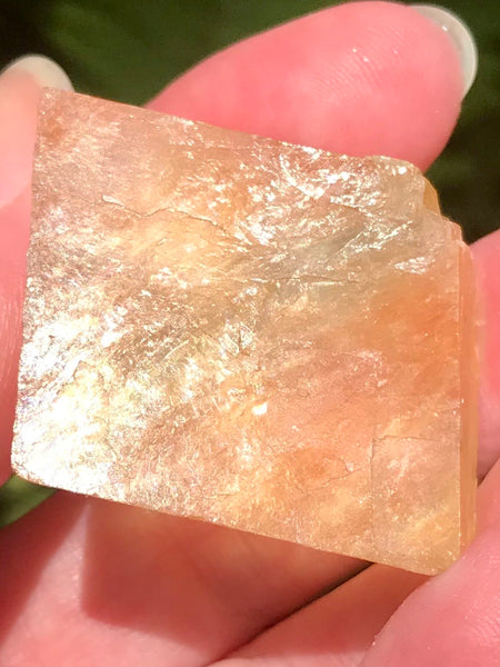 Golden Optical Calcite - Viking Stone - Palm Stone - Morganna’s Treasures 