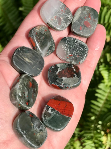 Dragon Bloodstone Medallions - Morganna’s Treasures 