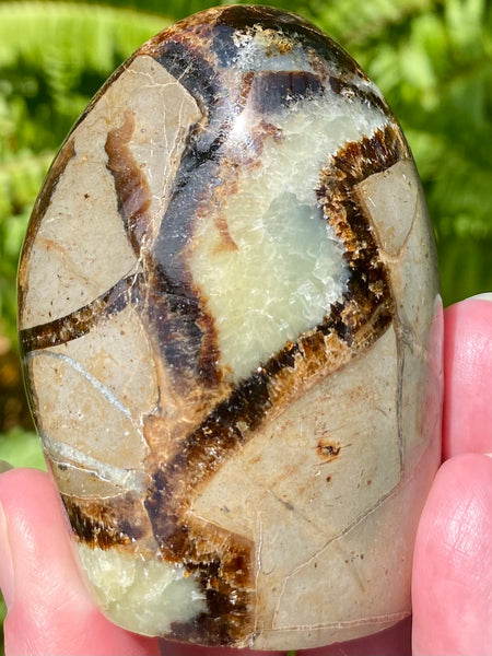 Septarian (Dragon’s Stone) Crystal Freeform - Morganna’s Treasures 