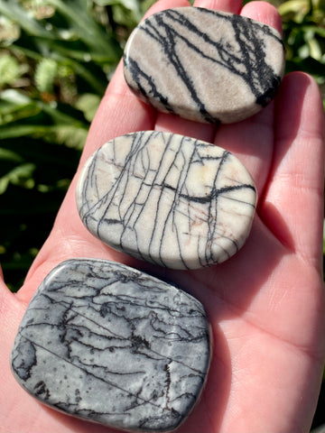 Spider Web Jasper Palm Stone - Morganna’s Treasures 