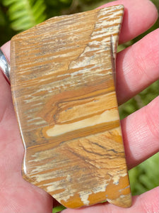 Picture Jasper Palm Stone - Morganna’s Treasures 