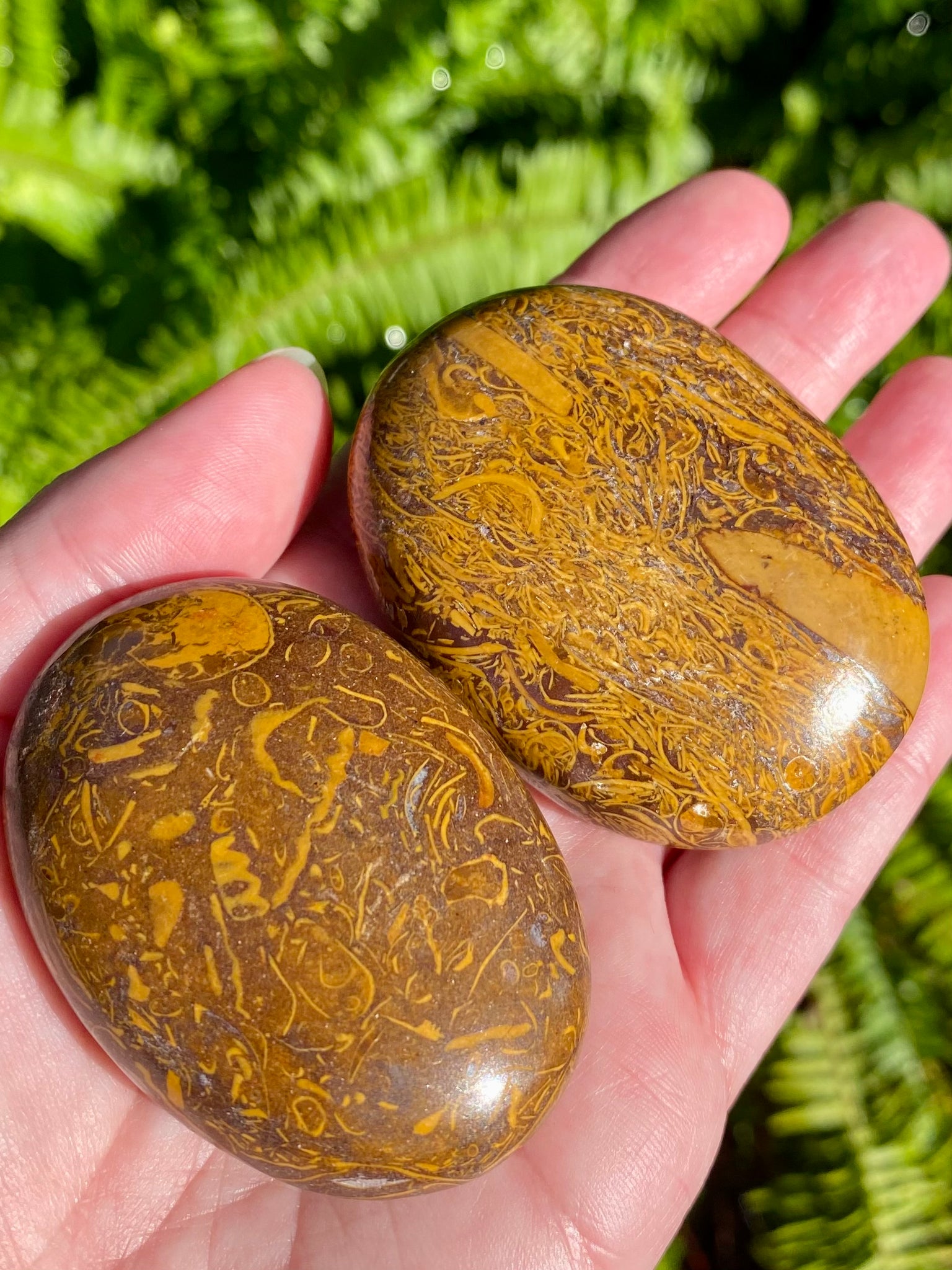 Marium Jasper Palm Stones - Morganna’s Treasures 