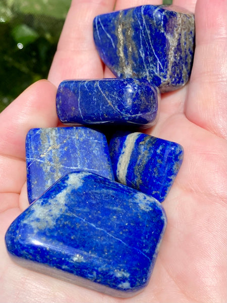 Large High Quality Lapis Lazuli Tumbled Stones - Morganna’s Treasures 