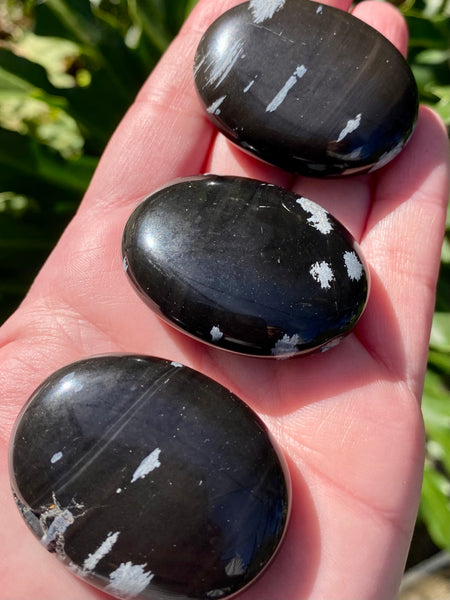 Snowflake Obsidian Palm Stones - Morganna’s Treasures 
