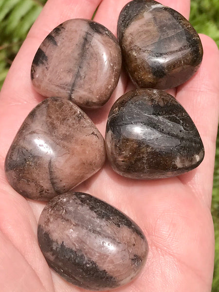 Chiastolite Tumbled Stones - Morganna’s Treasures 