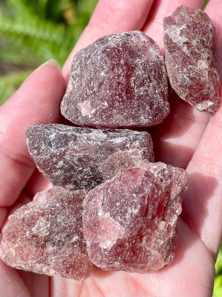 Rough Cherry Tanzurine Stones - Morganna’s Treasures 