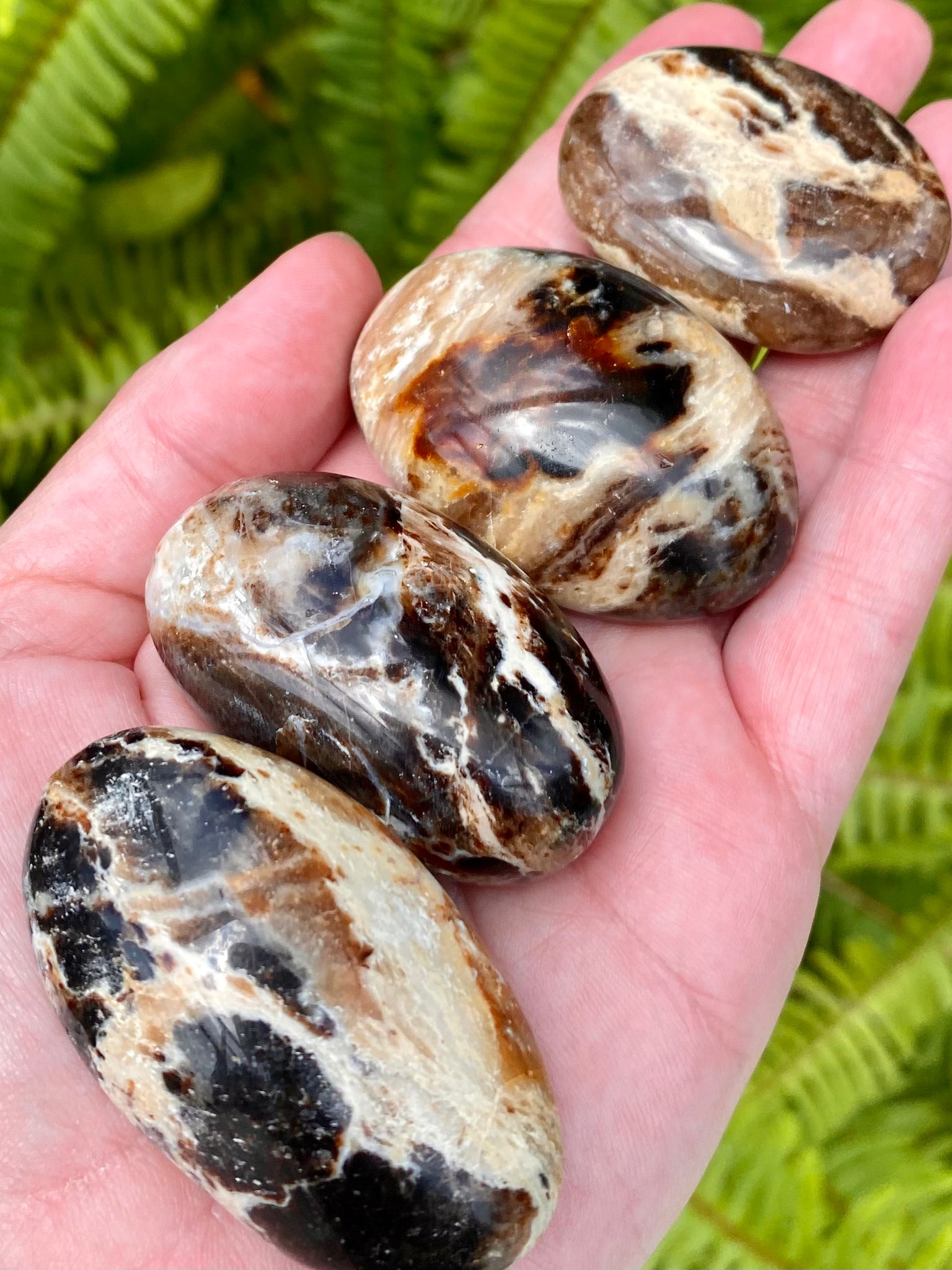 Small Black Opal Palm Stone - Morganna’s Treasures 