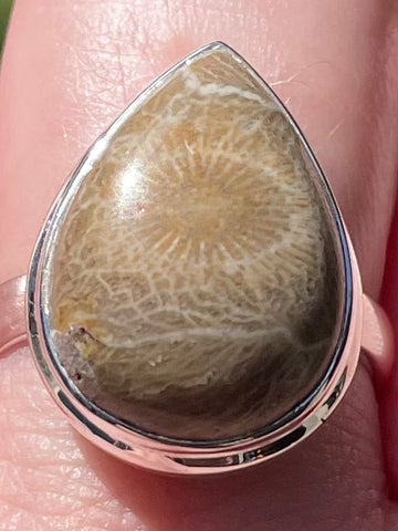 Petoskey Stone Cocktail Ring Size 9 - Morganna’s Treasures 