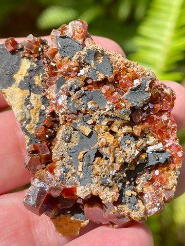 Vanadinite on Psilomelane Crystal Cluster - Morganna’s Treasures 