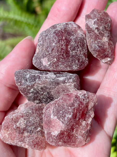 Rough Cherry Tanzurine Stones - Morganna’s Treasures 