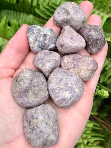 Lepidolite Tumbled Stones from Brazil - Morganna’s Treasures 