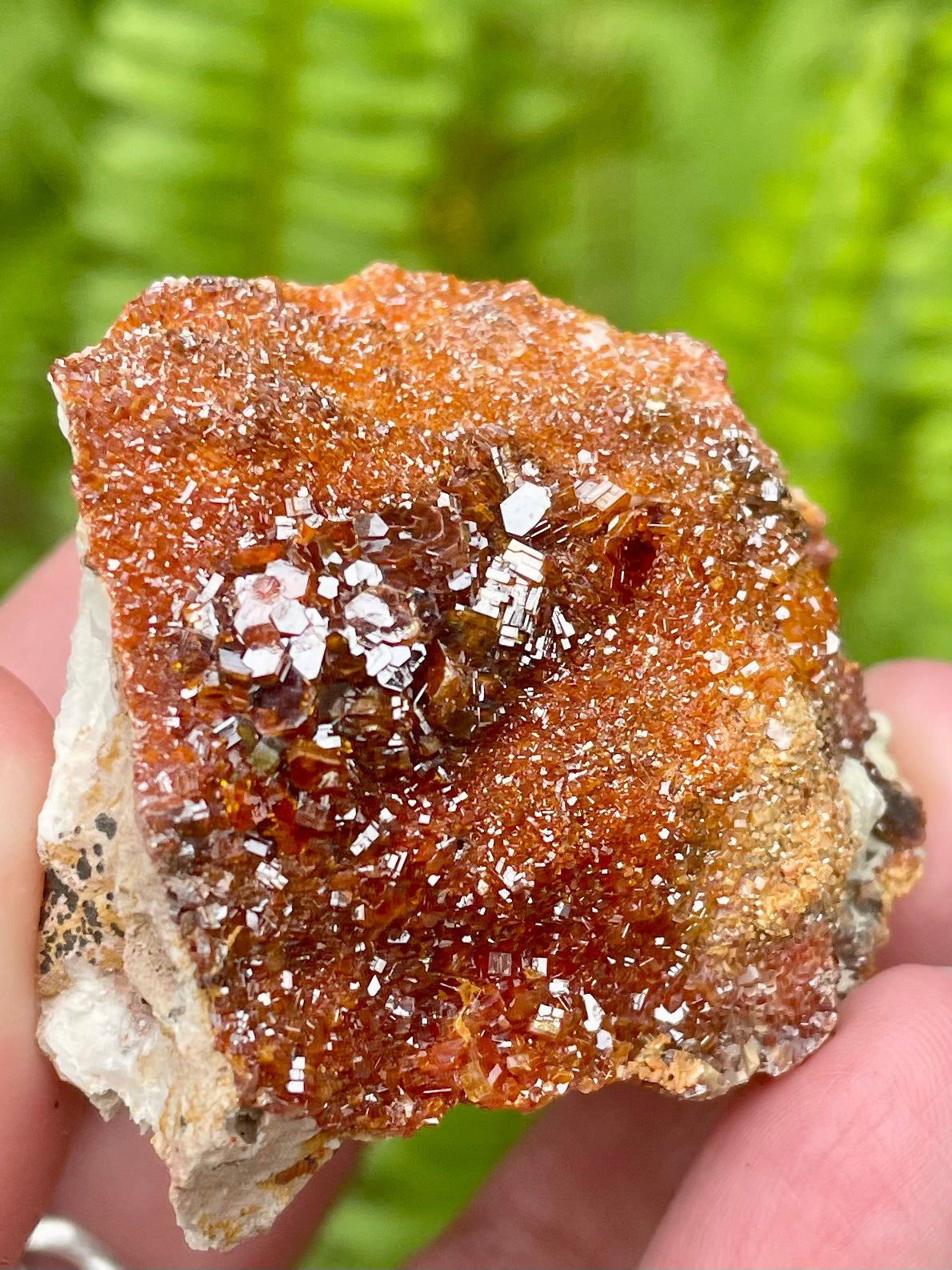 Vanadinite Crystal Cluster - Morganna’s Treasures 