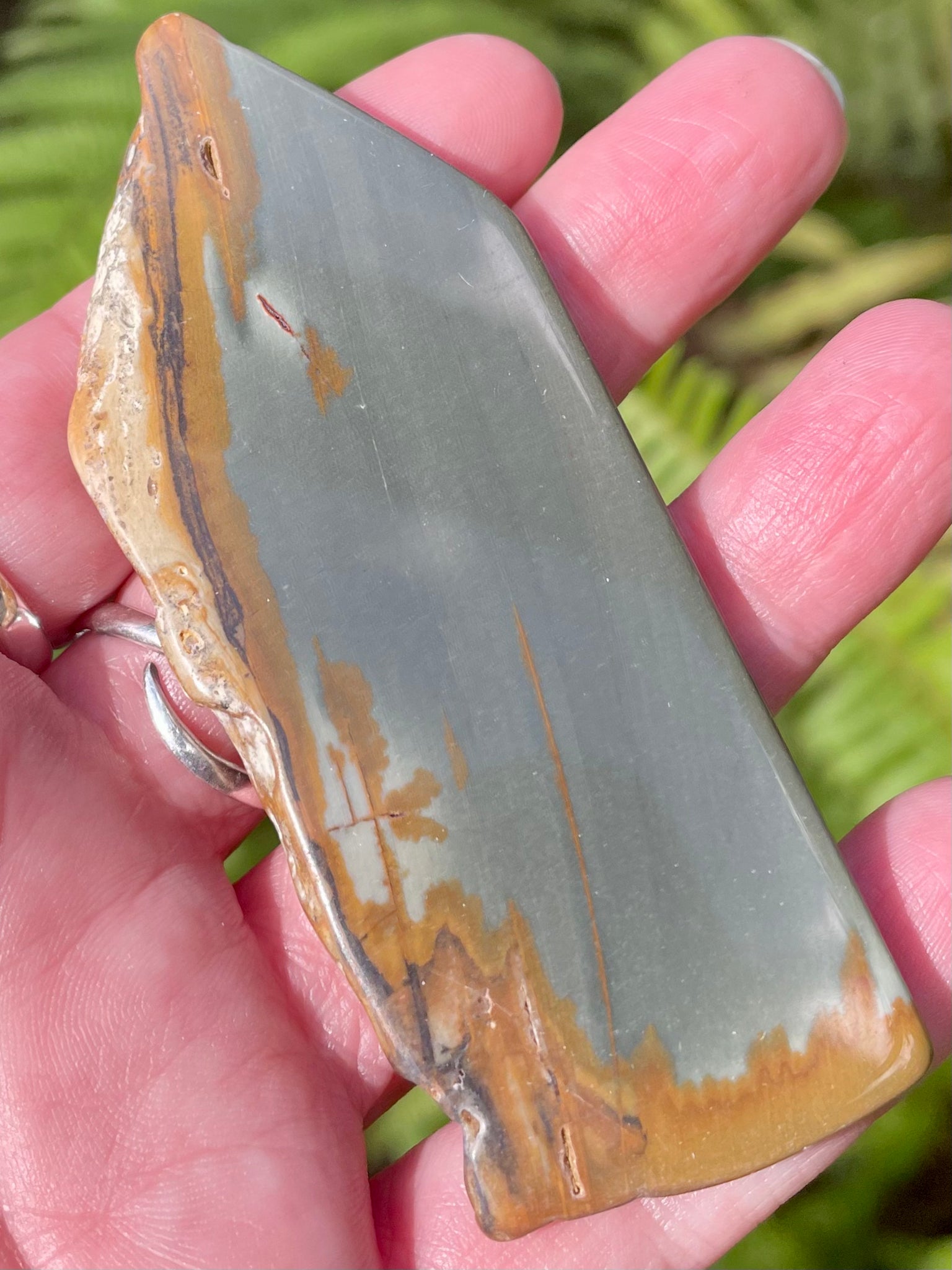 Picture Jasper Palm Stone - Morganna’s Treasures 