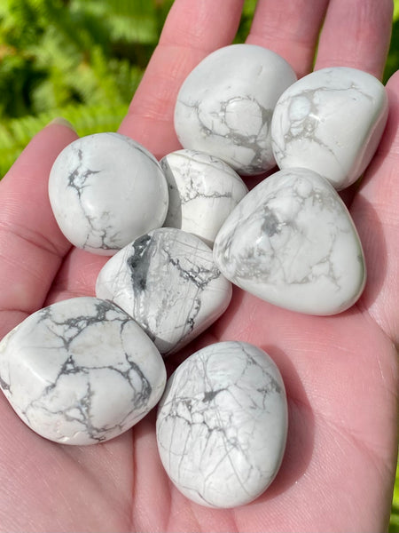 Howlite Tumbled Stones - Morganna’s Treasures 