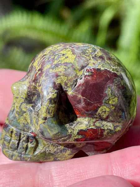 Carved Dragon Bloodstone Skull - Morganna’s Treasures 
