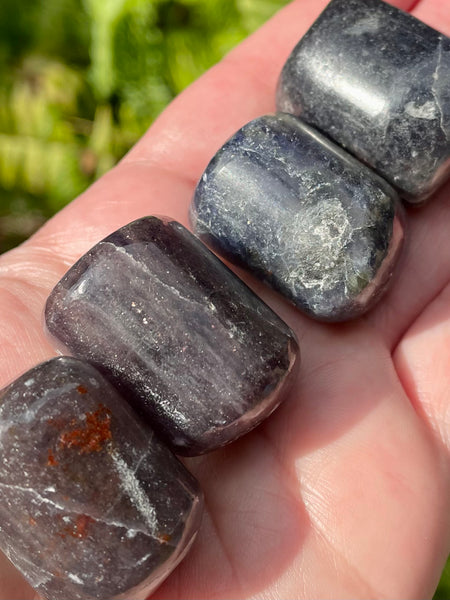 Iolite Tumbled Stones - Morganna’s Treasures 