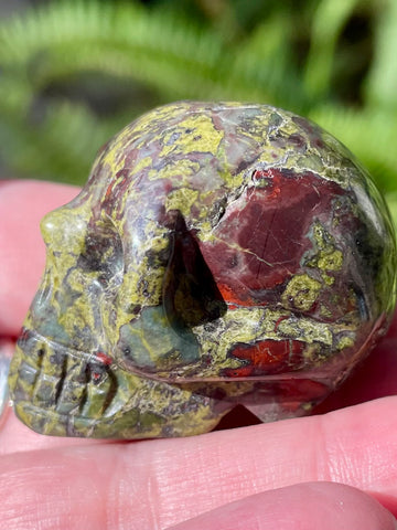 Carved Dragon Bloodstone Skull - Morganna’s Treasures 