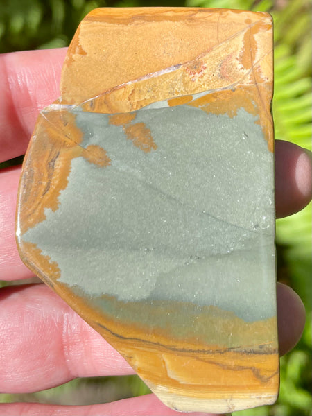 Picture Jasper Palm Stone - Morganna’s Treasures 