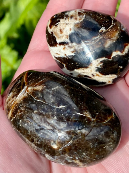 Small Black Opal Palm Stone - Morganna’s Treasures 
