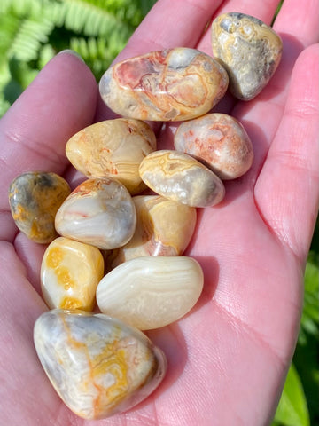 Crazy Lace Agate Tumbled Stones - Morganna’s Treasures 