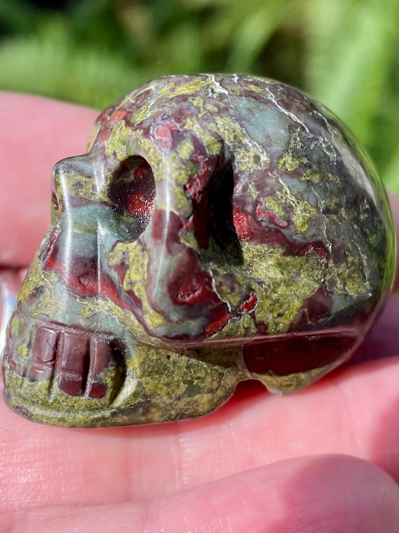 Carved Dragon Bloodstone Skull - Morganna’s Treasures 